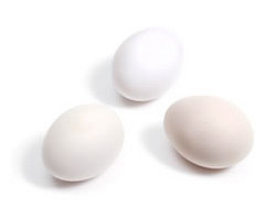 Free Range Chicken: Free Range Eggs 1 doz