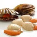 Fzn Scollops 1kg